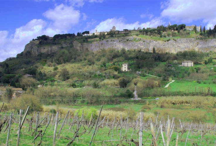 Un tratto di campagna umbra sotto la rocca di Orvieto