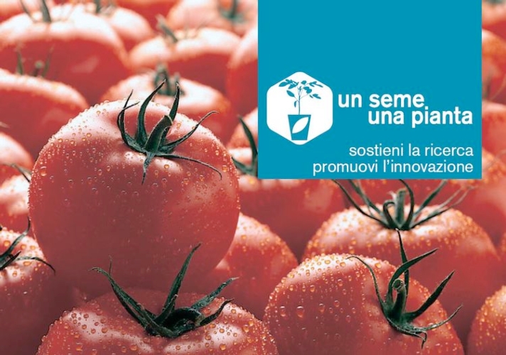 La campagna 'Un seme una pianta' è online sul sito di Assosementi