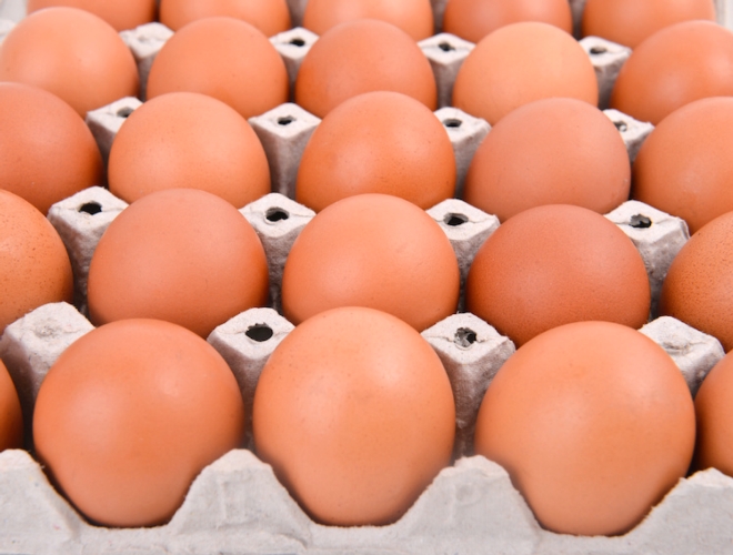  Grazie all'intesa con il Banco alimentare le uova prodotte dagli allevamenti sperimentali vengono destinate a iniziative di solidarietà