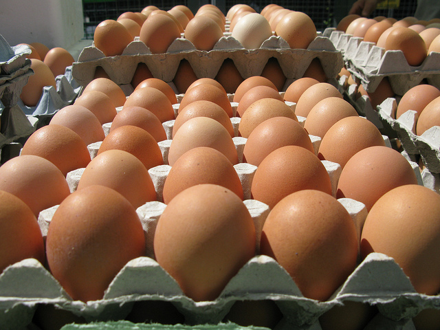  Donate al Banco alimentare le uova (oltre30mila) prodotte durante la sperimentazione 