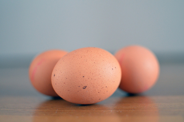 Nei Paesi Bassi il numero più elevato di uova con presenza di sostanze indesiderate