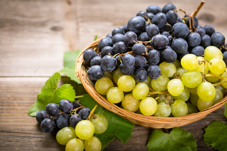 Fomet, le soluzioni per l'uva da tavola
