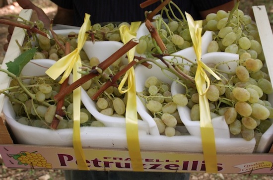 Confezione di uva da tavola della varietà Pizzutello bianco prodotta in Puglia nei vigneti di Adelfia, in provincia di Bari