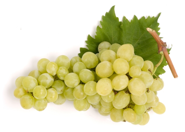 uva-da-tavola-viticolturaa-by-studio-gi-adobe-stock-750x533.jpeg