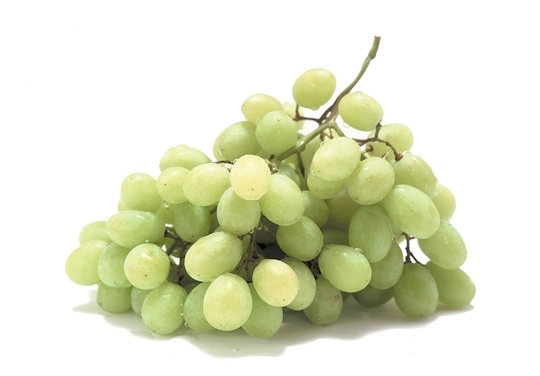 Nei primi tre anni, Syngenta e Univeg hanno operato concentrandosi su circa 200 ettari di uva da tavola tra le province di Bari e Taranto