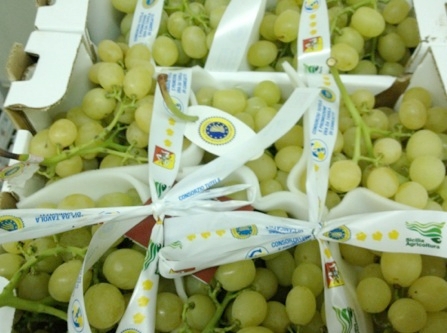 Confezione di uva 'Italia' Igp Canicattì