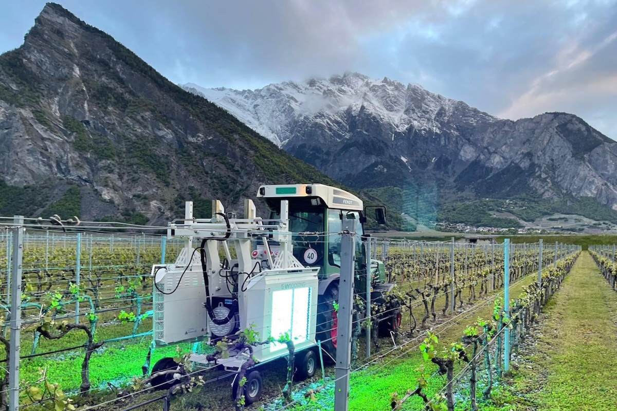 UVBoosting progetta attrezzature per proteggere le viti da vino grazie ai raggi UV-C