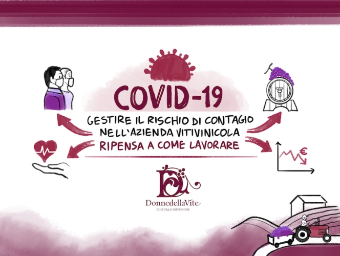 vademecum-vitivinicoltura-coronavirus-mag-2020-fonte-donne-della-vite-ok.jpg