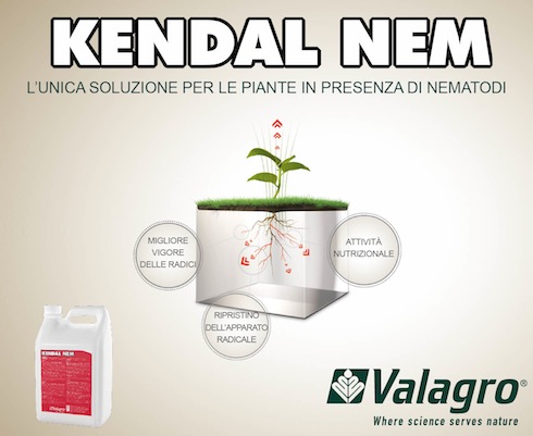 Kendal Nem di Valagro per le colture orticole in serra attaccate da nematodi