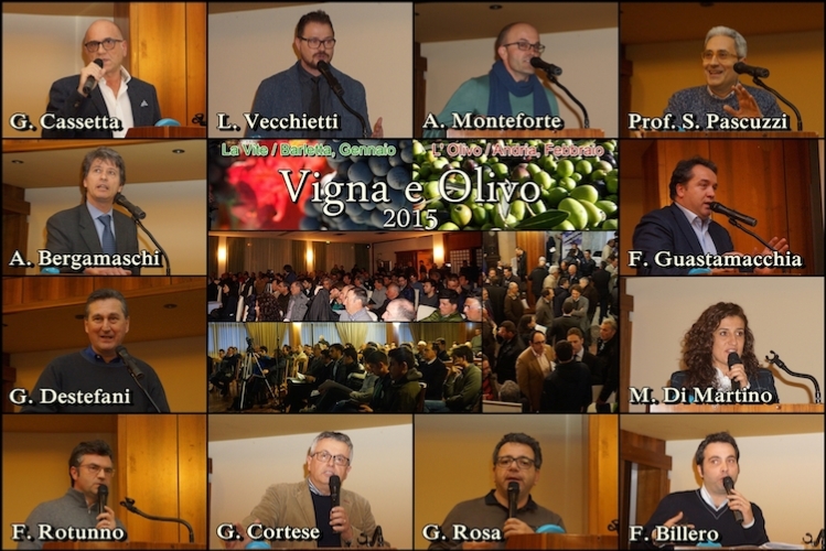 Vigna e Olivo 2015, evento di successo. Video e relazioni