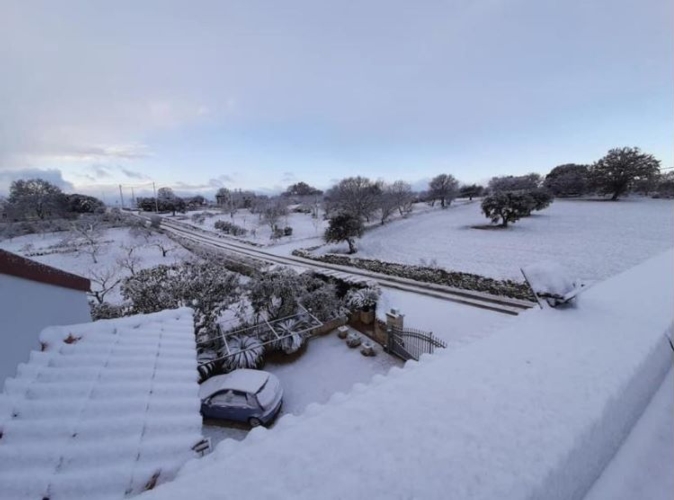 In Puglia dopo la siccità la neve colpisce a quote basse le ortive vernine in pieno campo