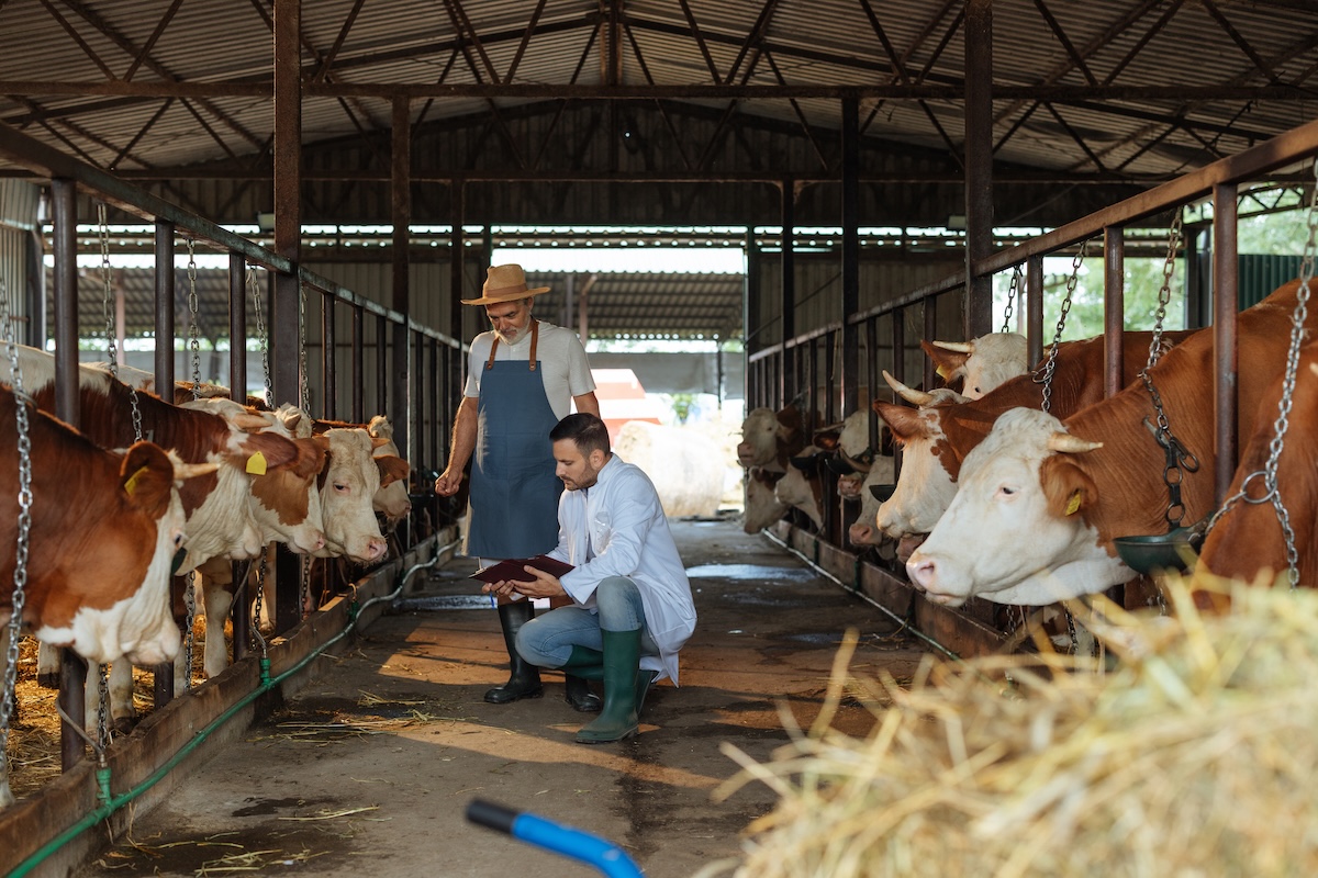 Sqnba, benessere animale: adesioni prorogate al 30 settembre 2025