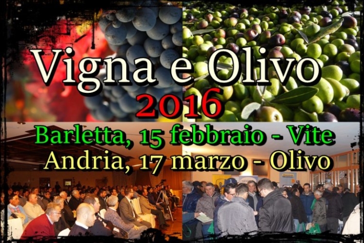 vigna-e-olivo-2016-new