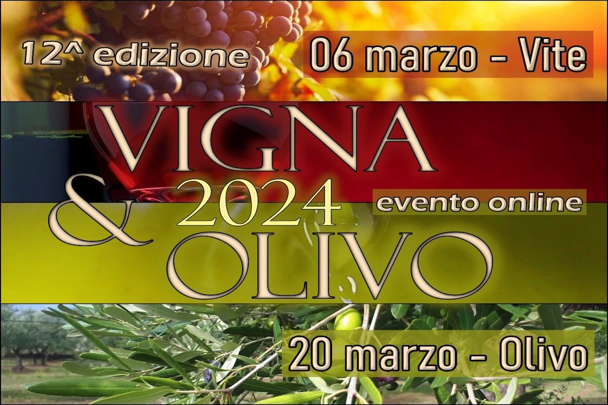 Il secondo appuntamento di Vigna & Olivo sarà sull'olivicoltura