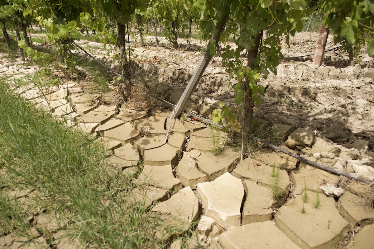 I danni dell'alluvione di maggio 2023 in un terreno a Solarolo, in provincia di Ravenna (Foto di archivio)