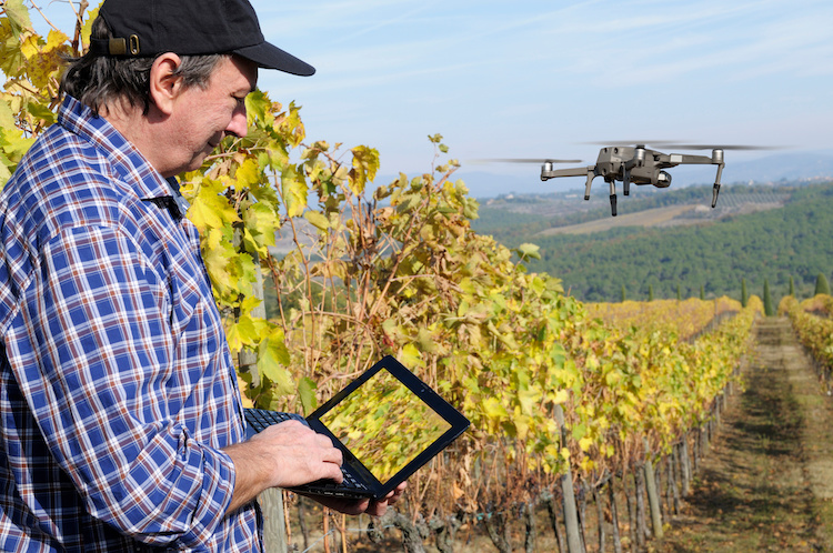 vigneto-drone-viticoltura-digitale-agricoltura-di-precisione-by-katy89-adobe-stock-750x498.jpeg