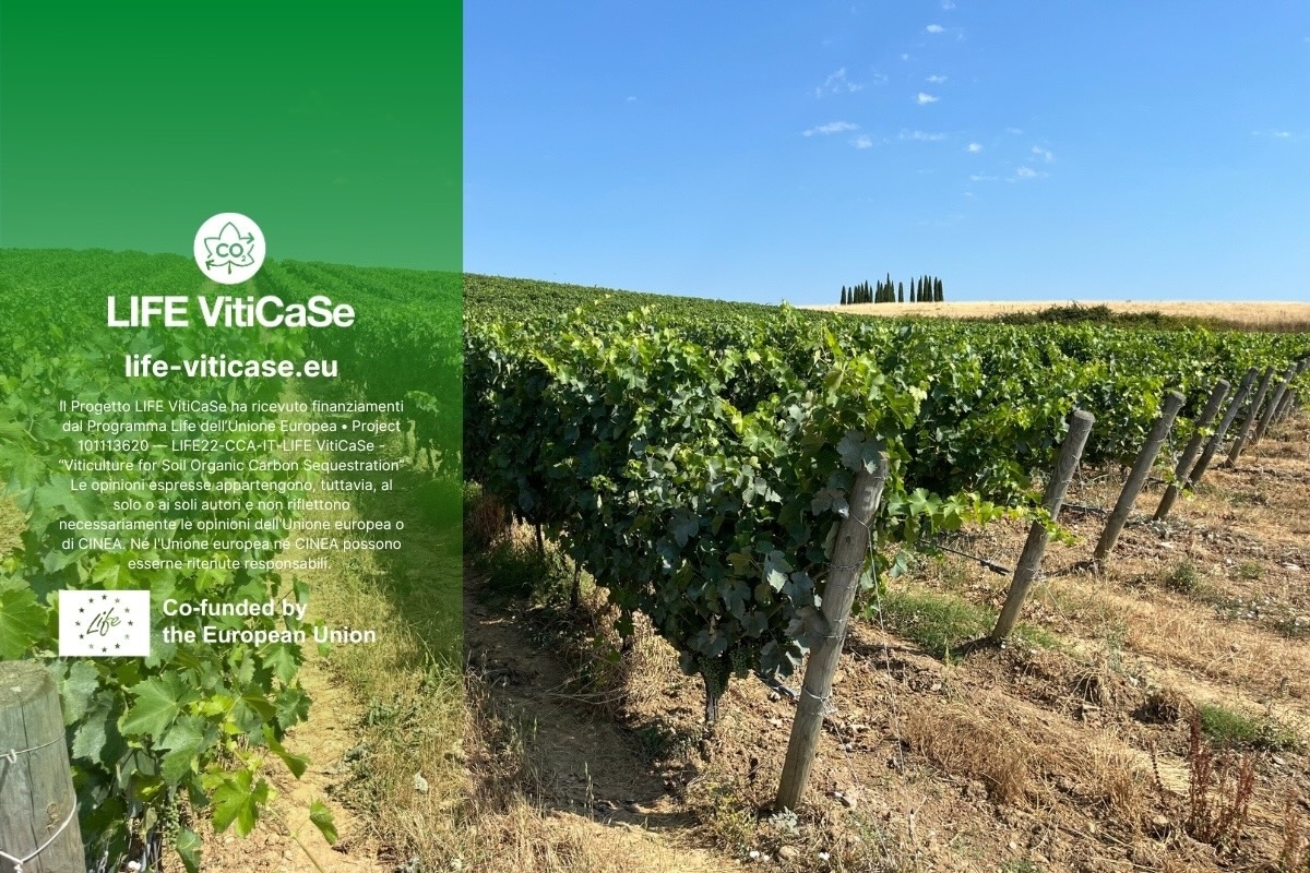 Soluzioni innovative per la viticoltura grazie al progetto LIFE VitiCaSe