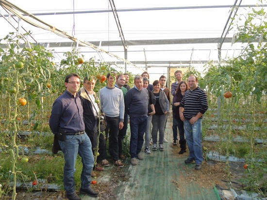 Gruppo dei partecipanti in visita all'azienda 'Il pomodoro di Jimmy' di Luca Fontana