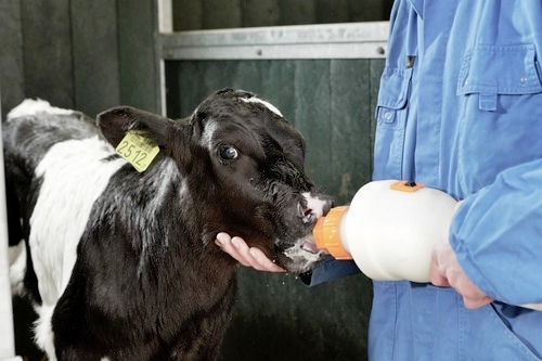 Da oltre 55 anni, Sprayfo si distingue per essere il latte in polvere di alta qualità
