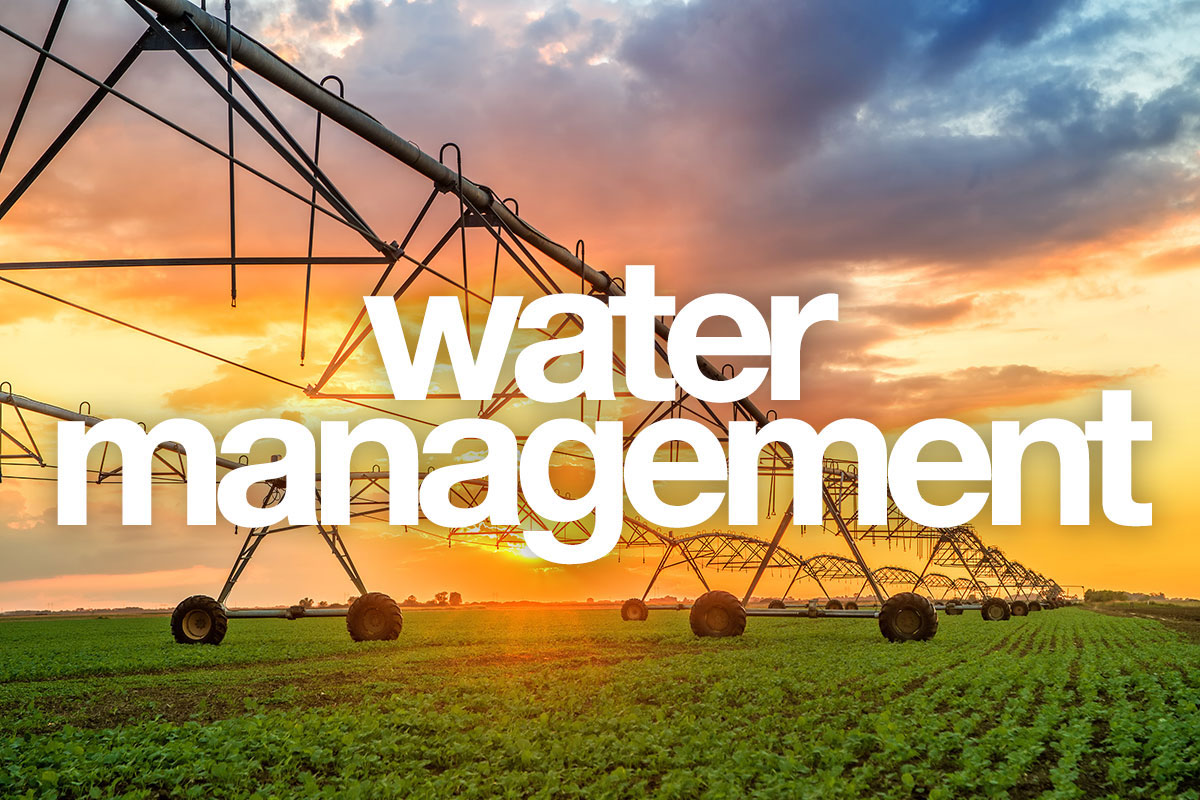 Water management, evapotraspirazione sotto controllo grazie a Cifo - le news di Fertilgest sui fertilizzanti