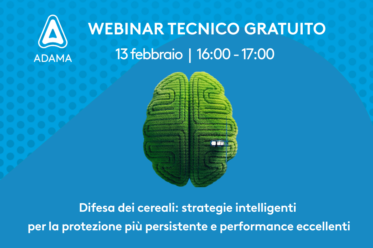 Il webinar si terrà il 13 febbraio