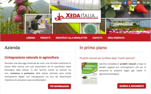 La Home Page del nuovo sito web di Xeda Italia