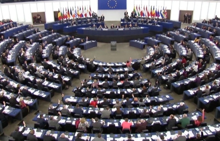 Il Parlamento europeo ha approvato ieri 20 maggio a larga maggioranza la risoluzione contro la Xylella fastidiosa