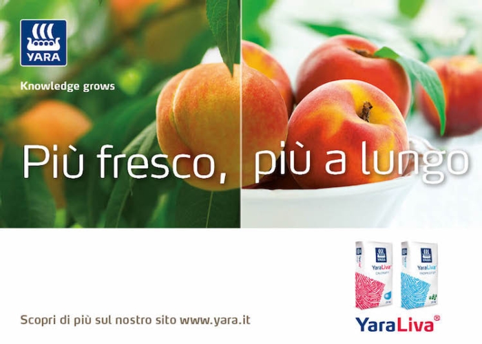 Yara: consigli per la concimazione delle piante da frutto