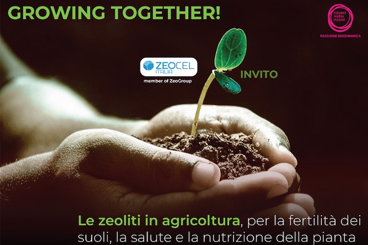 zeoliti-in-agricoltura-20190227.jpg
