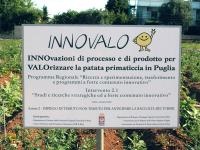 PRESENTE E FUTURO DELLA PATATA NOVELLA - le news di Fertilgest sui fertilizzanti
