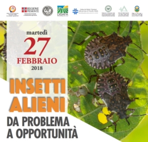 20180227-insetti-alieni-da-problema-a-opportunita.jpg