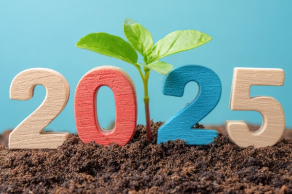 Ogni parola una svolta: come è stato il 2025