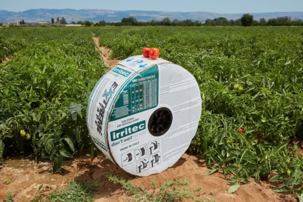 Pomodoro da industria: la fertirrigazione smart guida le produzioni in Italia