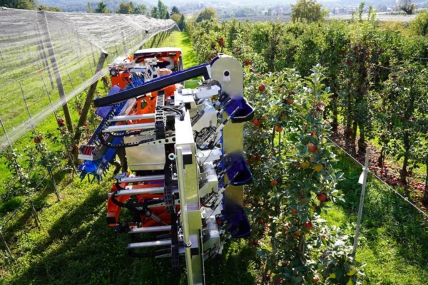 Slopehelper rivoluziona la raccolta di mele e arance senza manodopera