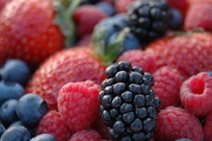 La coltivazione dei piccoli frutti - Plantgest news sulle varietà di piante