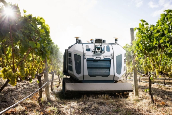 Robot Atomatika, precisione e sicurezza al servizio del viticoltore