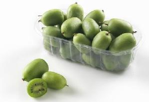 Arguta, il baby-kiwi che si mangia tutto intero - Plantgest news sulle varietà di piante