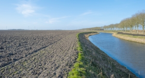 acqua-agricoltura-canale-by-naj-fotolia-750