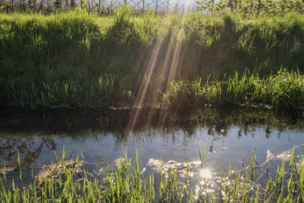 Campania, approvata la nuova Legge di riforma dei consorzi di bonifica