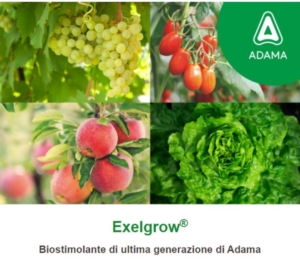 Exelgrow<sup>®</sup>: il nuovo biostimolante di Adama - le news di Fertilgest sui fertilizzanti