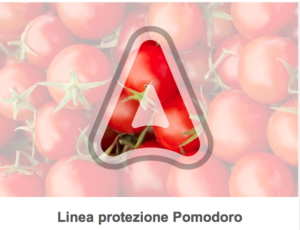 adama-linea-pomodoro.png