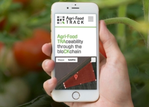 agri-foodtrack-rintracciabilita-blockchain-agtech-agritech-pomodoro-vino-olio