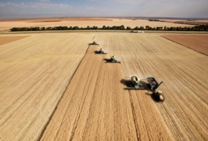 agricoltura-campo-grano-raccolto-trattori-macchine-agricole-tyler-olson-fotolia-4681x3183.jpg