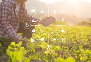agricoltura-digitale-tablet-tecnologie-by-sodawhiskey-adobe-stock728x500