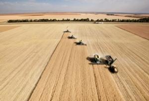 agricoltura-lavoro-agricolo-campo-grano-raccolto-trattori-macchine-agricole-tyler-olson-fotolia-750