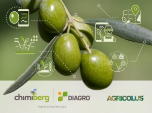 agricolus-olivo-fonte-chimiberg-diagro