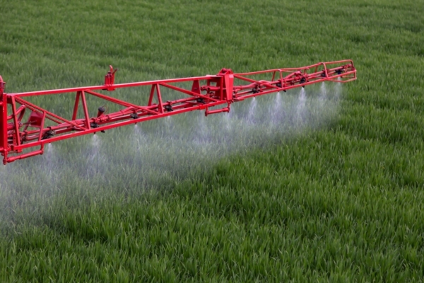 Diserbo cereali: il controllo completo richiede strategia