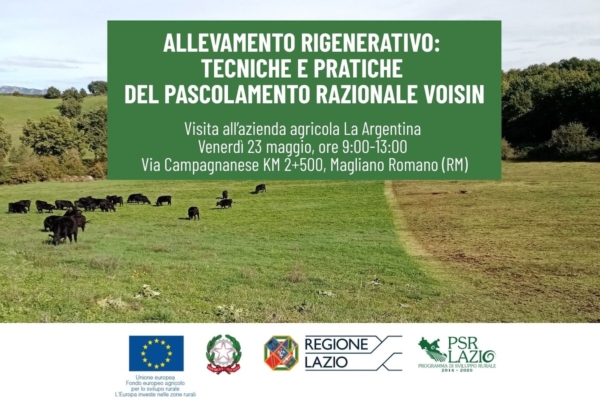 Conoscere il pascolamento razionale Voisin