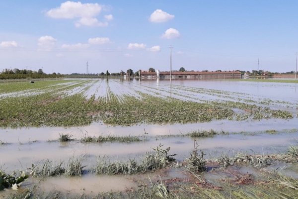 Alluvione in Romagna, il Governo mette sul tavolo 2 miliardi euro per la ricostruzione