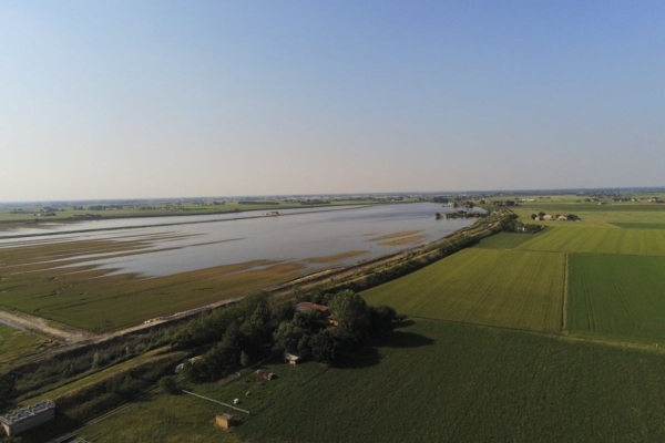 Decreto Alluvioni: 175 milioni per l'agricoltura in Romagna, Toscana e Marche